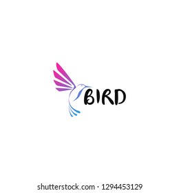 Bird Logos Template Design