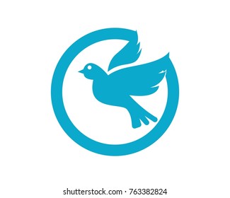 Bird logos vector symbol