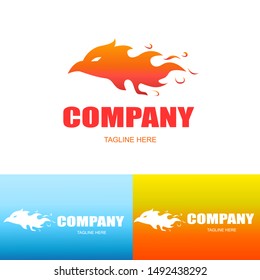 Bird Logo,set of bird logo,fire bird logo design vector template. Burning bird logo template