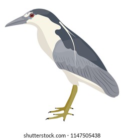 
A bird with long beak and thin legs depicting seagull
