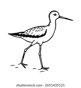 A bird with long legs a long beak standing on a avian animal