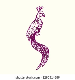 Bird with long tail sitting (peacock), hand drawn doodle, sketch in naïve style, outline vector illustration