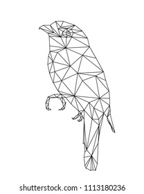Bird low poly art design, art wall print