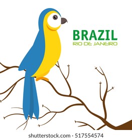 bird macaw blue and yellow brazil