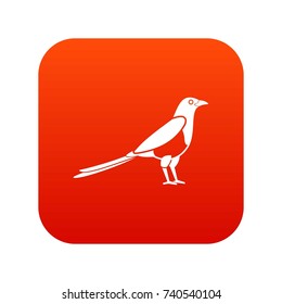 Bird magpie icon digital red for any design isolated on white vector illustration