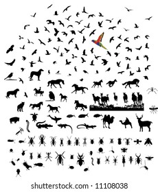 Bird mammal insect reptile mixed wild animal silhouettes set