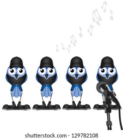 Bird manufactured boy band isolated on white background