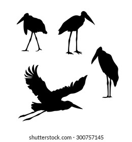 Bird marabou vector icons and silhouettes. Set of illustrations in different poses.