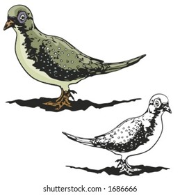 Bird Mascot for sport teams. Great for t-shirt designs, school mascot logo and any other design work. Ready for vinyl cutting.