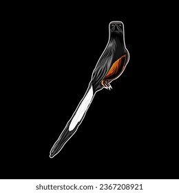 Bird Mascot Vector Illustration , cute, icon, background for poster design on black background eps10