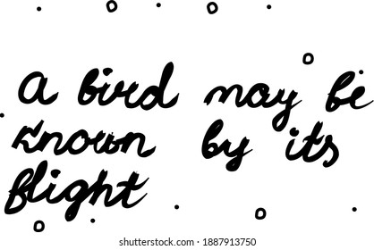 A bird may be known by its flight phrase handwritten. Modern calligraphy text. Isolated word black, lettering