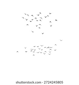 Grupo de siluetas de migración de aves aisladas sobre fondo blanco para viajes de vida silvestre y diseño de naturaleza.