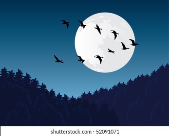 Bird Migration Vector