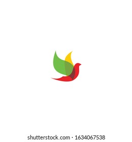 Bird Modern Logo Template. Vector Illustrator.