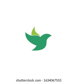 Bird Modern Logo Template. Vector Illustrator.