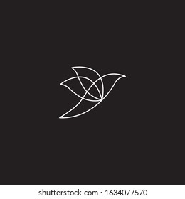 Bird Modern Logo Template. Vector Illustrator.