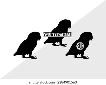 Bird Monogram Vector Illustration Silhouette