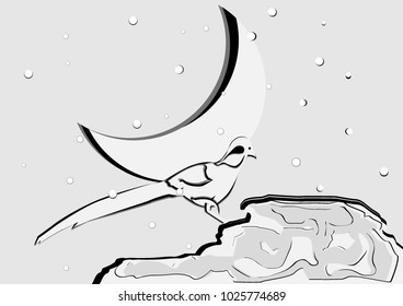 bird moon background winter vector wildlife animals