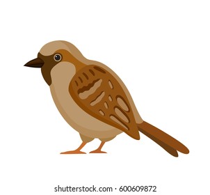 Bird with motley feathers, isolated vector illustration.  Perfect cards or any other kind of design