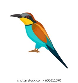 Bird with motley feathers, isolated vector illustration.  Perfect cards or any other kind of design