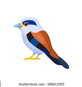 Bird with motley feathers, isolated vector illustration.  Perfect cards or any other kind of design