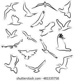 Bird nature flying symbols logo and icons