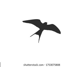Bird, nature icon. Vector illustration, flat design.