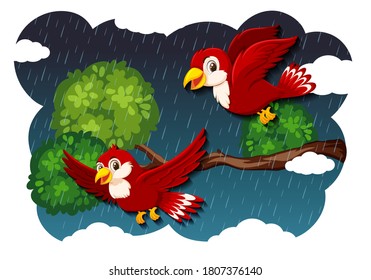 Bird in nature raning scene illustration