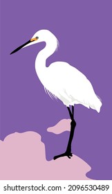 Bird and Nature Series Number One