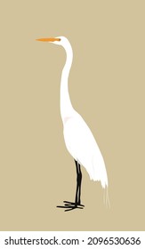 Bird and Nature Series Number One