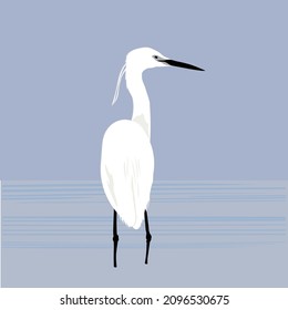 Bird and Nature Series Number One