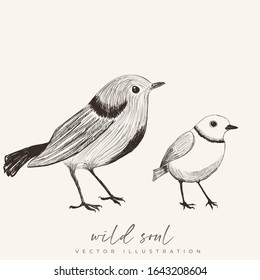 Bird in nature vector hand-drawing