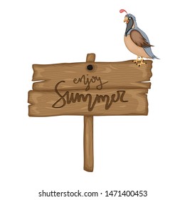 Bird near wooden signboard with the inscription "enjoy summer" in vector. Cartoon illustration