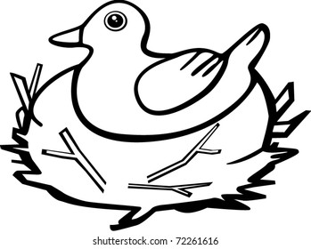 pájaro en nido