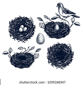 Bird nest with branches set, egg card, hand drawn Isolated vector illustration. Eggs in a basket, rabbit, easter cake, willow branch, bird, easter eggs. Engraving