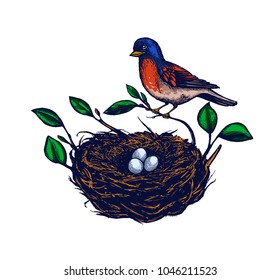 Bird nest with branches set, egg card, hand drawn Isolated vector illustration.  Willow branch, bird, easter eggs. Engraving