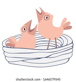 Bird nest with chicks. Vector illustration isolated on white.