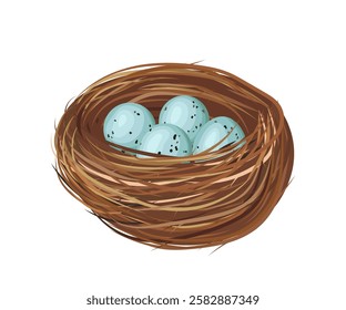 Bird Nest Containing Four Light Blue Specked Eggs on White Background