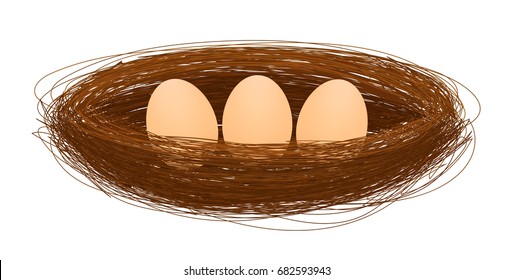 bird nest with egg vector