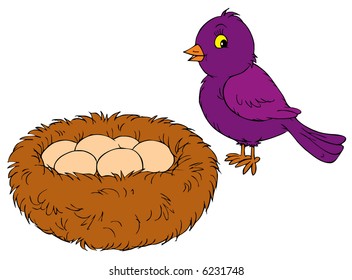 Bird, Nest And Eggs