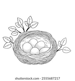 bird nest with eggs black and white vector illustration
