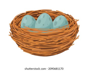 Bird nest. Nest with eggs and branches isolated on white background. 