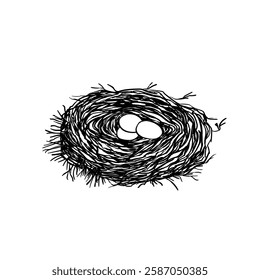 Bird nest with eggs. Easter hand drawn vector illustration, template design.