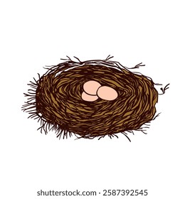 Bird nest with eggs. Easter hand drawn vector illustration, template design.