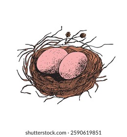 Bird nest with eggs. Easter hand drawn vector illustration, template design.