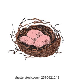 Bird nest with eggs. Easter hand drawn vector illustration, template design.