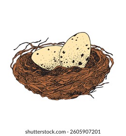 Bird nest with eggs. Easter hand drawn vector illustration, template design.