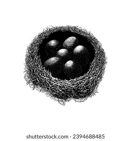 bird nest with eggs hand drawing vector isolated on white background.