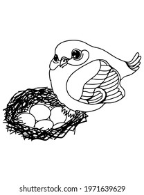 Bird in a nest with eggs isolated on the white background. Beautiful Bird in a nest with eggs for coloring book or page.
