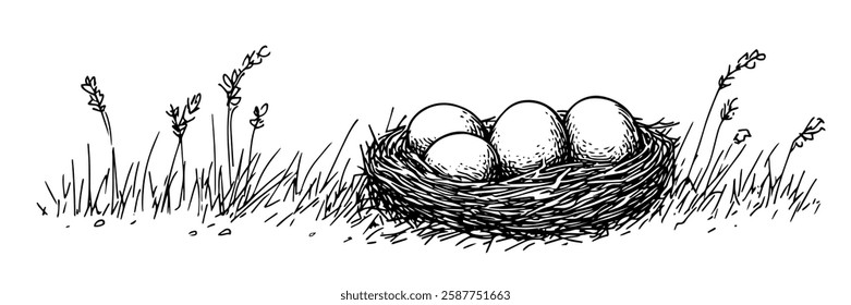 bird nest with eggs on grass in hand-drawn line art style